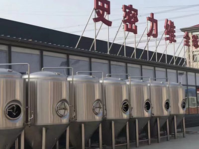 美兰精酿啤酒设备厂—如何判断精酿啤酒设备的密封件需要更换？
